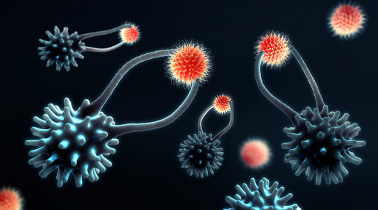 Cytotoxic T Cell's: ImmunoWars' Silent Assassin